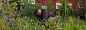 End of the 2013 growing season reflections