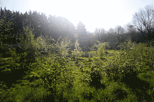 DPP_0207