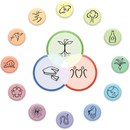permaculture-principles
