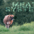 meat-production