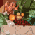 community-supported-agriculture