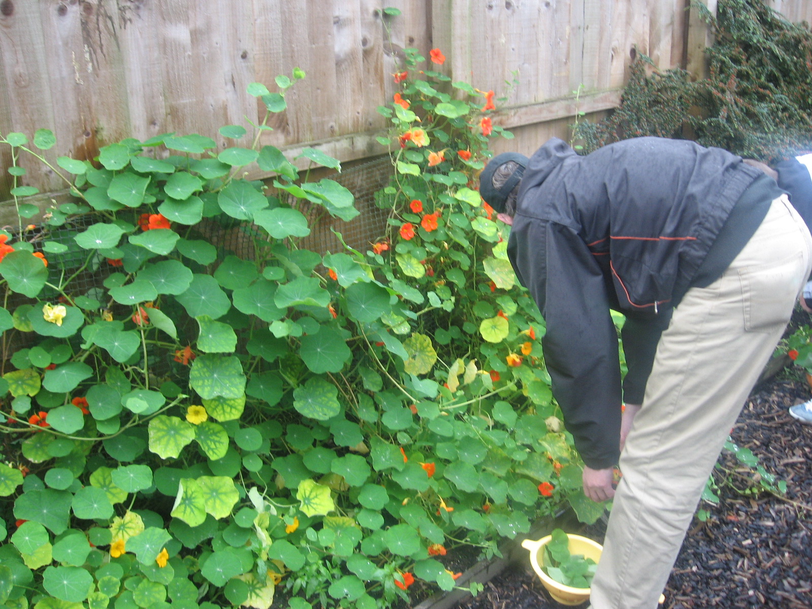 The sow and grow project