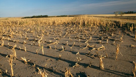 Climate change and human diet