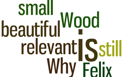 Felix Wood – Why Schumacher’s small is beautiful is still relevant