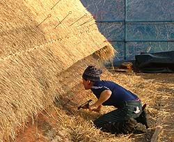 Useful traditional skills