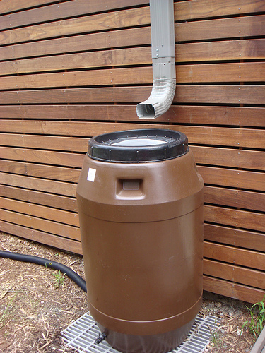 A Gift From Above: Rainwater harvesting for Green Irrigation