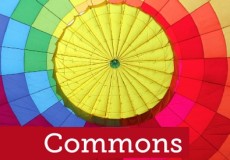 Book: Commons a model for managing natural resources