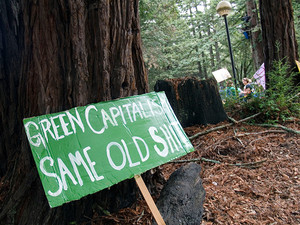 No place for capitalism in ecology movement