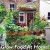 grow food at home