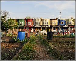 The Community Garden Movement in Philadelphia