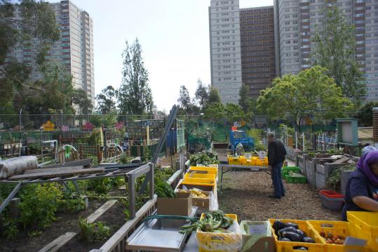 Urban Permaculture: creating resilient small scale Cities for the future