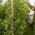 Paul-Benham-at-Primrose-F-007