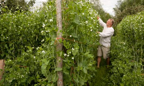Community self reliance: the end of Employment?