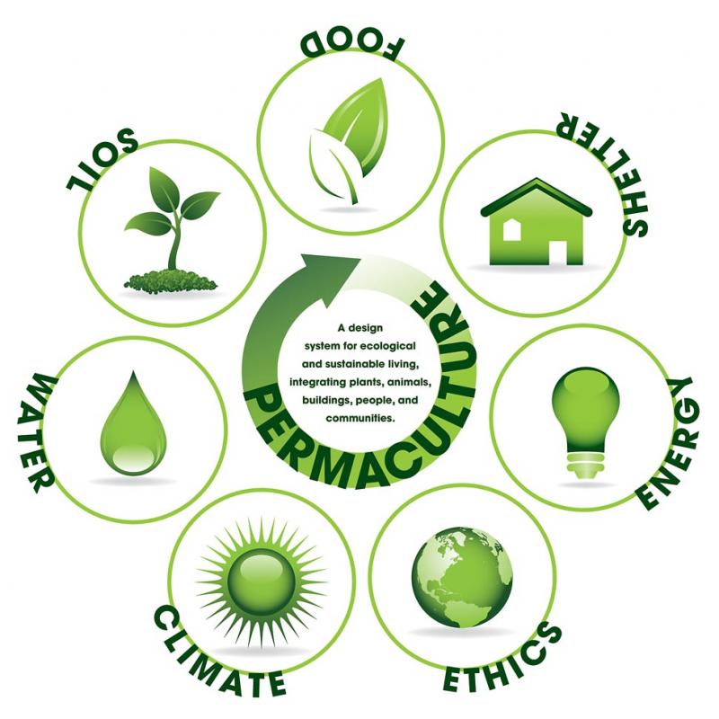 Community roots (community food growing permaculture project)