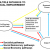 multiple pathways overall vision