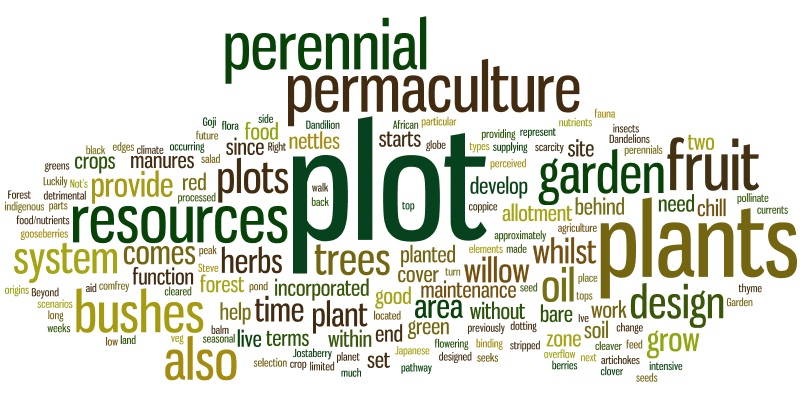 Film: Permaculture allotment plot project update: April 2012