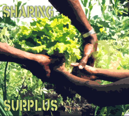 Sharing your surplus to create abundance