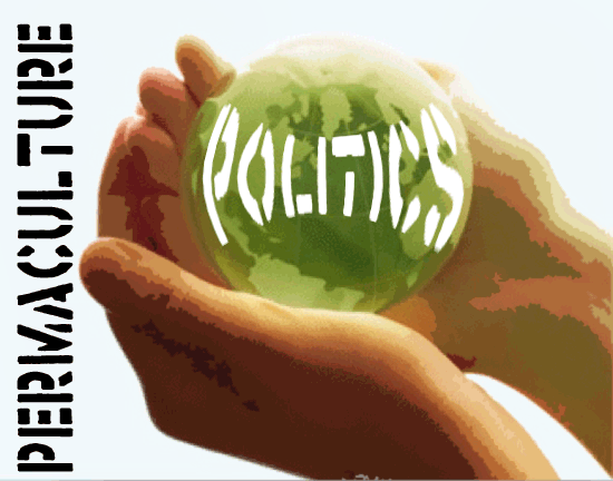 Permaculture and Politics