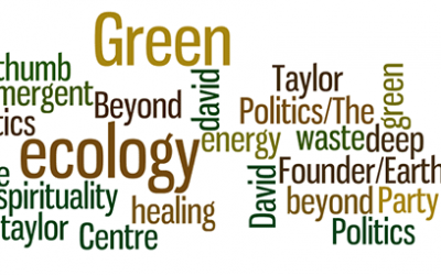 Film: David Taylor Green Party –  Beyond Green Politics Off Grid Festival 2012