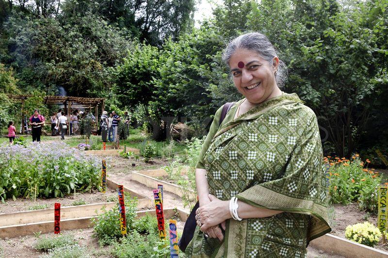 Film: George Mckay on radical gardening, Vandana Shiva and others discuss the importance of gardening, seeds and capitalism