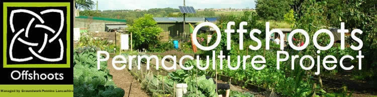 Offshoots Permaculture project